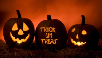 Halloween: Trick or Treat Picture
